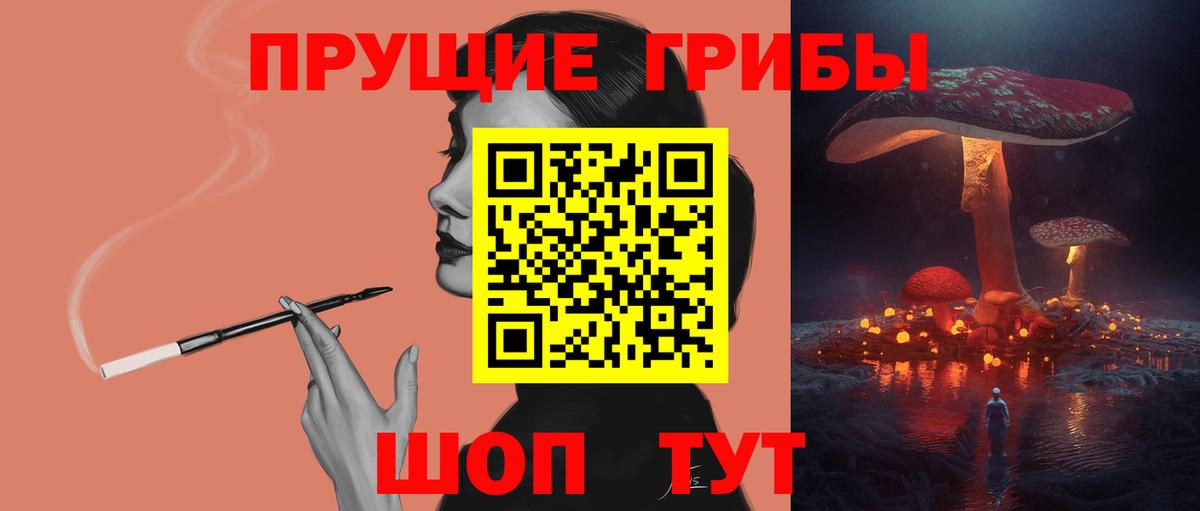 Псилоцибиновые грибы Psilocybe Спасск-Дальний